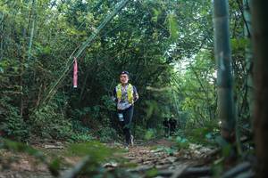 BIB: 
                            <button type="button" onclick="openModal(28025291)" class="btn btn-primary btn-sm float-right btn-popup" data-toggle="modal" data-target=".modal-high-quality">
                        <i class="fas fa-shopping-cart"></i> Add to Cart
                    </button>
                                            <button type="button" onclick="isThisMe(28025291, true)" class="btn btn-success btn-sm float-right btn-popup btn-isme hidden" data-toggle="tooltip" data-placement="bottom" title="นี่คือรูปของคุณใช่ไหม คลิกที่นี่เพื่อเอาเข้าอัลบั้ม">
                        <i class="fas fa-plus"></i> Add to album
                    </button>
                    <button type="button" onclick="isThisMe(28025291, false)" class="btn btn-warning btn-sm float-right btn-popup btn-isnotme hidden">
                        <i class="fas fa-ban"></i> Remove from album
                    </button>